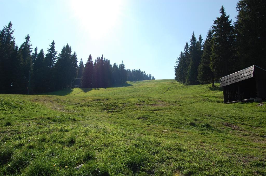 Nova Ponorka Martinske Hole Martinky Daire Oda fotoğraf